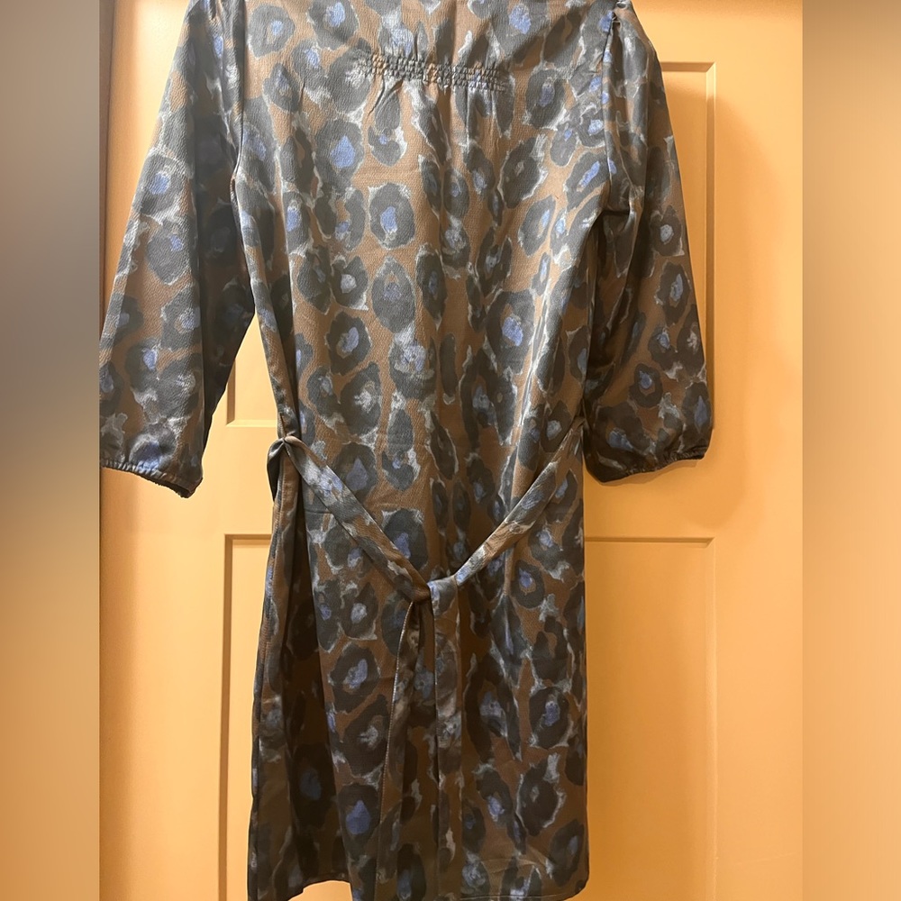 Express Dress - Picture 3 of 3